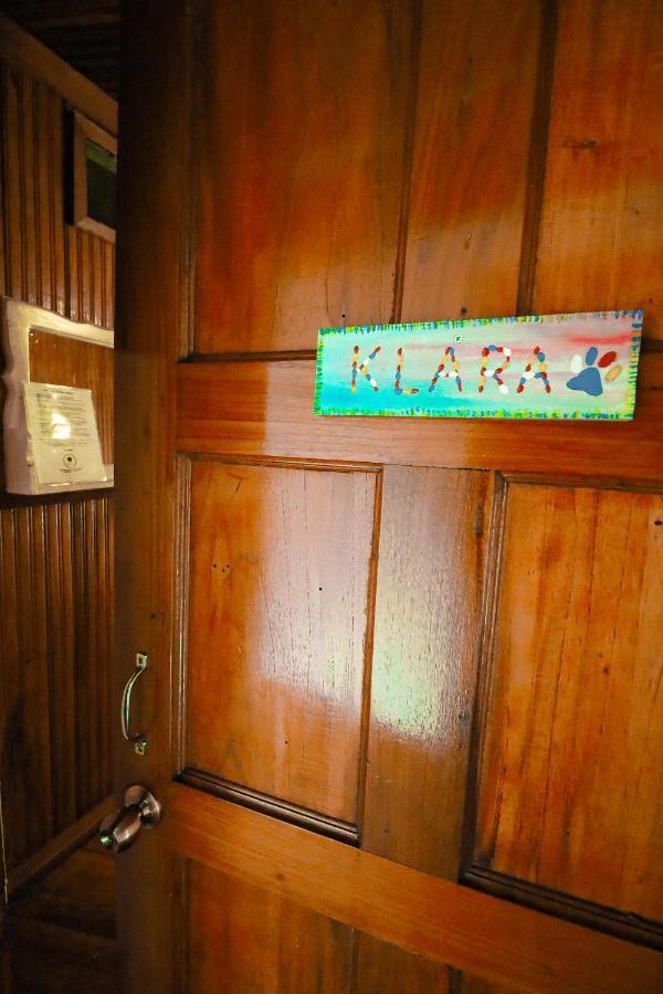 Cat In The Cup B&B Bocas Town Luaran gambar